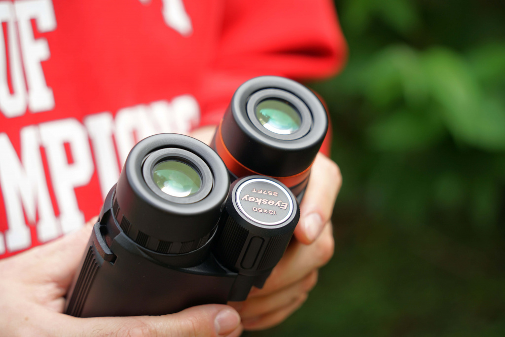 Eyeskey_Focusky_1250_2.JPG