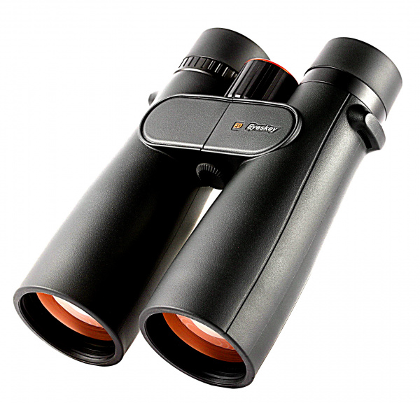 EyeS-B107_1
