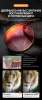 ProPilot APO EB _ 10X42_Detail_Page_ (5)