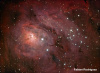TP1208-80-01_6