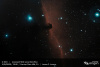 CE-12099_14