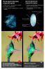 Sport_Detail_Page_ (10)